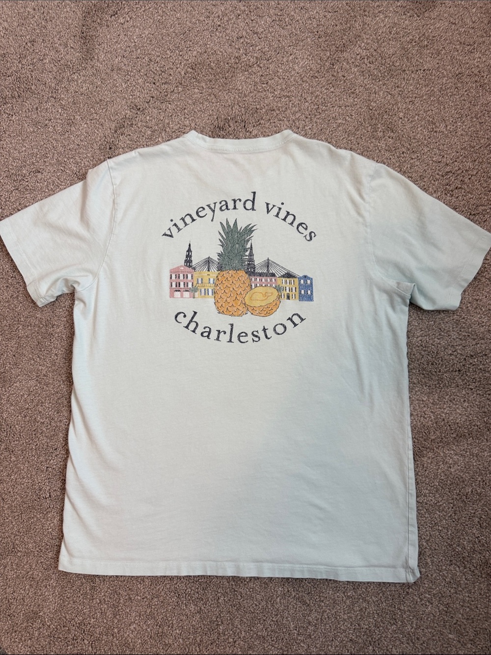 Vineyard Vines Light Mint Charleston Pineapple Graphic Tee